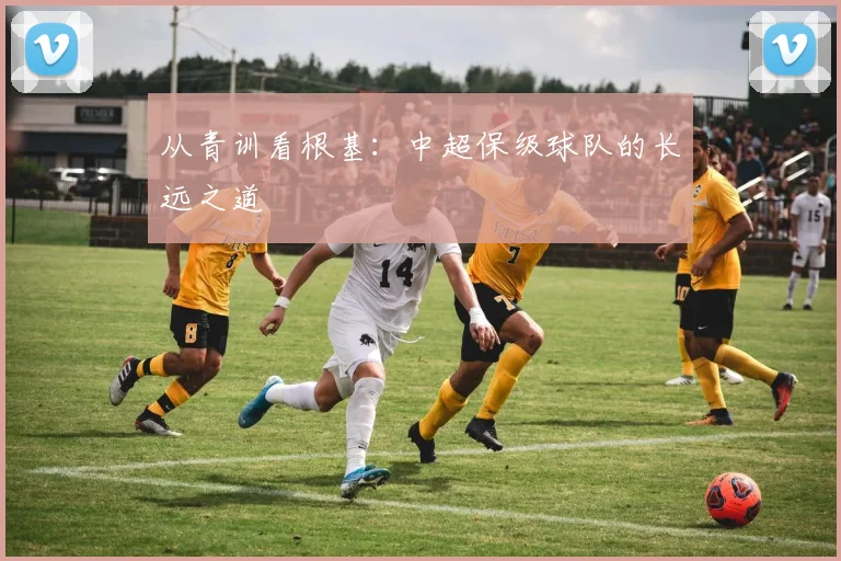 从青训看根基:中超保级球队的长远之道