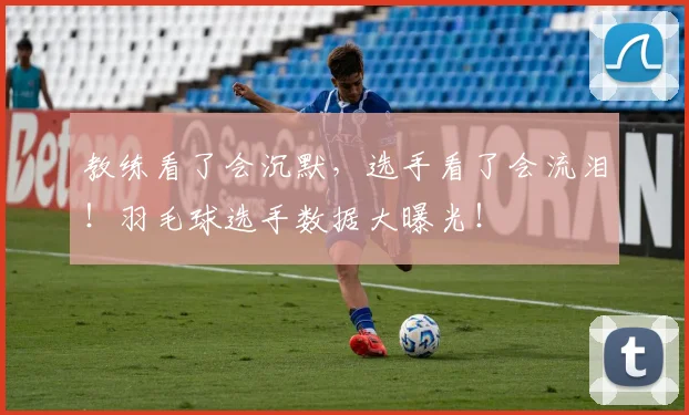 教练看了会沉默,选手看了会流泪!羽毛球选手数据大曝光!
