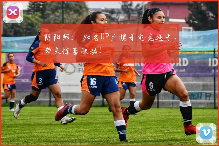 阴阳师： 知名UP主携手电竞选手，带来惊喜联动！