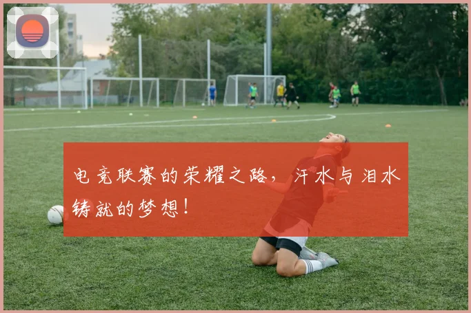 电竞联赛的荣耀之路,汗水与泪水铸就的梦想!